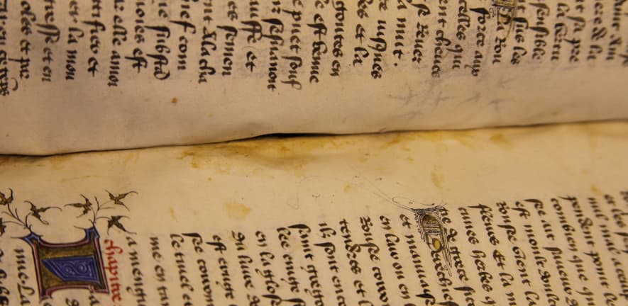 Hide glue seeped into the spine margins through unrepaired holes in the spinefolds, sticking leaves together, hardening the parchment and leaving areas of discolouration.