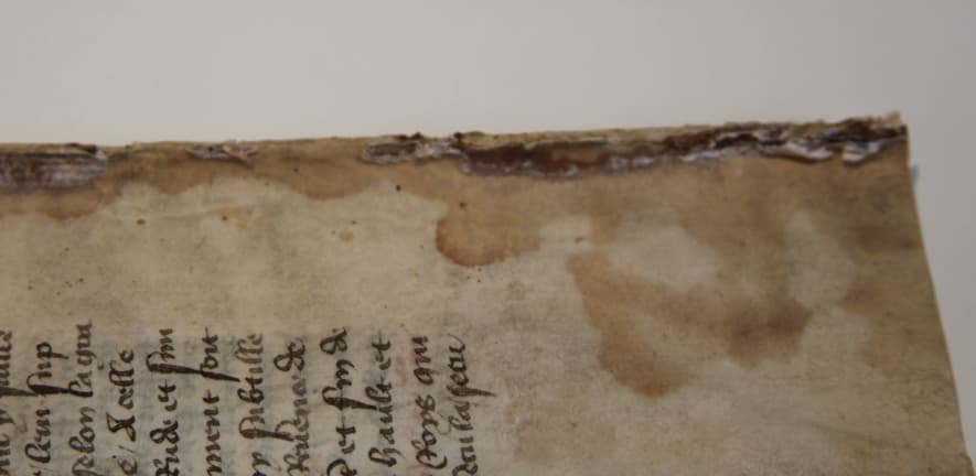 Hide glue seeped into the spine margins through unrepaired holes in the spinefolds, sticking leaves together, hardening the parchment and leaving areas of discolouration.