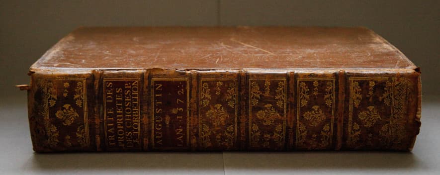 The gold-tooled spine of the tanned calfskin binding put on to MS 251 in the mid eighteenth century.