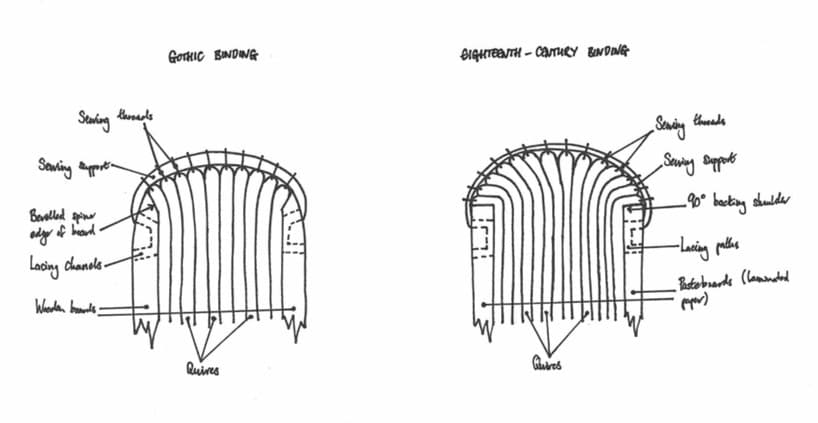 Gothic and modern spine shapes