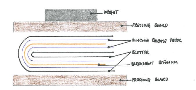 Diagram showing the method of drying humidified bifolia in a folded format.