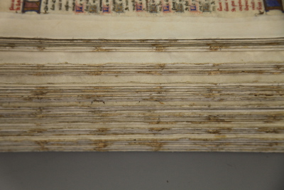 Detail of the spine folds following repair of the entire manuscript
